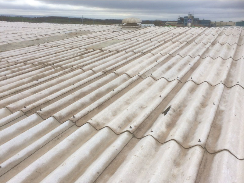 Roofing Surveys - Metal Cladding